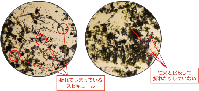 ハーブのスピキュール比較